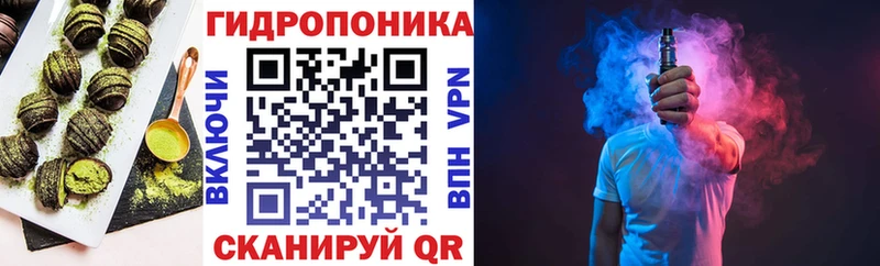 Купить закладки  Саранск  Cannafood марихуана 